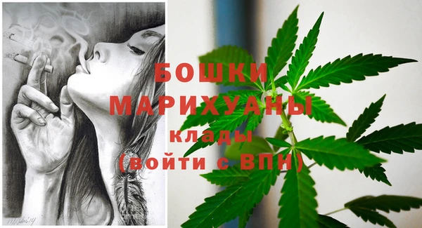 гидра Мегион