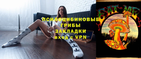 ГАЛЛЮЦИНОГЕННЫЕ ГРИБЫ Медногорск