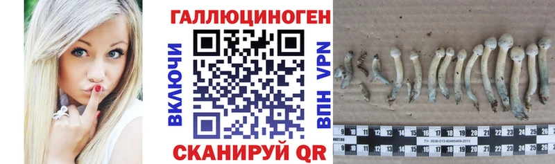 Галлюциногенные грибы мухоморы  Купить  Козельск 